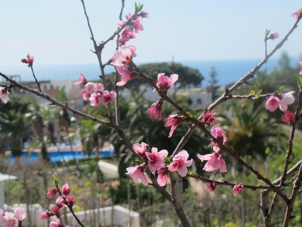 Aparthotel Villa Marinu Forio  Exterior photo